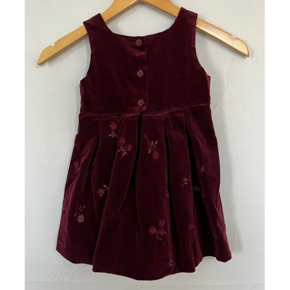 Baby Gap Floral Velvet Dress Size 3XL 30-36 Months Lined Burgundy Red Holiday